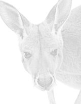 2D/3D Transformations 2D/3D Transformations