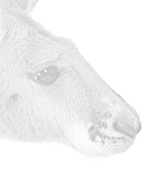 CSS Image Filters Image Filters