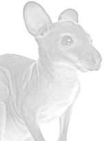 Slideshows Slideshows