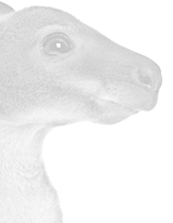 Highlights Highlights