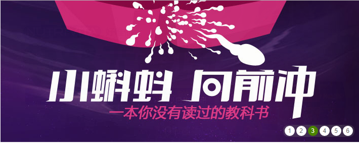 网易保健品网站jQuery焦点图轮播滚动切换特效代码