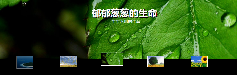 jQuery缩略图广告效果轮播滚动切换特效代码